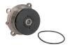 Насос охолоджуючої рідини, MASSEY FERGUSON 3075, 3085, 3095, 3105 VOLVO BL60, BL60B, BL61, BL61 PLUS, BL61B, BL70, BL70B, BL71, BL71 PLUS, BL71B, EC135B, EC140B, EC160B, EC160B NLC, EC160C DOLZ D301 (фото 1)