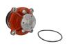 Насос охолоджуючої рідини, MASSEY FERGUSON 3075, 3085, 3095, 3105 VOLVO BL60, BL60B, BL61, BL61 PLUS, BL61B, BL70, BL70B, BL71, BL71 PLUS, BL71B, EC135B, EC140B, EC160B, EC160B NLC, EC160C DOLZ D301 (фото 2)