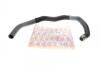 Патрубок радиатора (нижний) Citroen Jumpy/Peugeot Expert 2.0 HDi/Fiat Scudo 2.0 JTD 96-06 AUTOTECHTEILE 508 0334 (фото 1)