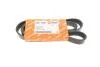 Ремінь генератора Renault Kangoo 1.9D 98- (6PK1400) AUTOTECHTEILE 906 1400 (фото 1)