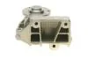 Насос воды Fiat Ducato/Peugeot Boxer 2.5D/TDI/2.8JTD 94-02 AUTOTECHTEILE 508 0109 (фото 4)