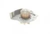 Насос воды Citroen C4-C8/Jumpy 2.0-2.2HDi/Fiat Scudo 2.0D/Ford Focus 2.0TDCI 01- AUTOTECHTEILE 508 0108 (фото 3)