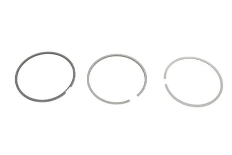 Кільця поршневі STD (на 1цил.) Renault Dokker/Logan/Dokker 1.5 DCI 05-> KOLBENSCHMIDT 800120710000