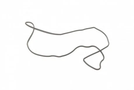 Прокладка насосу масляного Fiat 500/ Tipo 1.6 14- ELRING 571.760