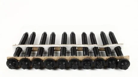 Болты гол.блока CITROEN,FIAT,LANCIA,PEUGEOT (двиг.DW10-UTD) AJUSA 81024700