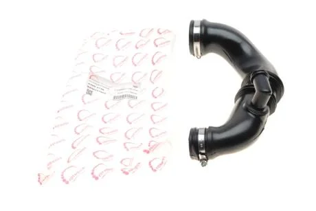 Патрубок фільтра повітряного Renault Kangoo 1.5dCi 05- ROTWEISS RWS2748