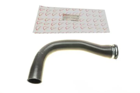 Патрубок інтеркулера Renault Laguna III 1.5dCi 07-15 ROTWEISS RWS2374