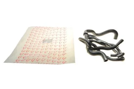 Патрубок радіатора (верхній) Renault Megane/Scenic 1.9dCi 08- ROTWEISS RWS2387