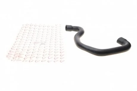 Патрубок турбіни Renault Trafic 1.9dCi 01- ROTWEISS RWS2565