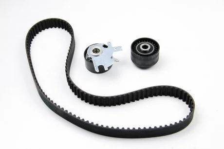 Комплект ГРМ Scudo/Expert 2.0 MJTD/HDi 07- Peugeot/Citroen 0831.T5