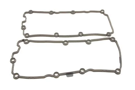 Комплект прокладок клапанної кришки (2 шт) VW Touareg (04-10,10-)/Audi A4 (04-12),A6 (04-11),Q7 (06-15) Vika 11031790601