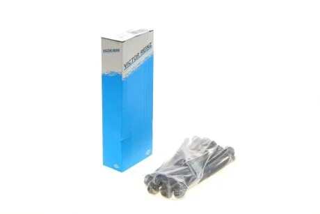 Комплект болтів гбц REINZ VICTOR REINZ 14-10013-01