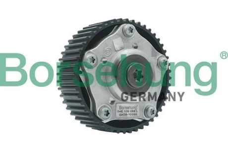 Регулятор фаз газорозподілення Borsehung B17949