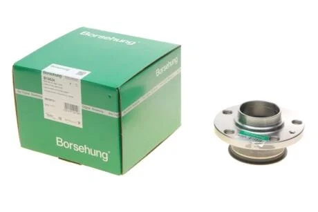 Підшипник маточини (задня) Skoda Rapid/Roomster 07- (OE VAG) Borsehung B15624