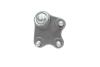 Опора кульова (передня/знизу/R) VW Polo/Skoda Fabia 1.0-2.0 99- Borsehung B11339 (фото 2)