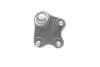 Опора шаровая (передняя/снизу/R) VW Polo/Skoda Fabia 1.0-2.0 99- Borsehung B11339 (фото 2)