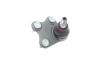 Опора кульова (передня/знизу/R) VW Polo/Skoda Fabia 1.0-2.0 99- Borsehung B11339 (фото 4)