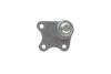 Опора кульова (передня/знизу/R) Skoda Fabia/VW Polo 1.2/1.9TDI 99-10 Borsehung B11337 (фото 3)
