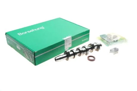 Розподільчий вал Skoda Fabia/Roomster/VW Polo 1.4 TDI 99-10 (к-кт) (OE VAG) Borsehung B18665