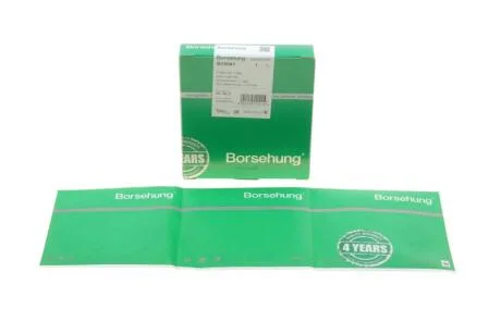 Кільця поршневі VW Passat/Golf 1.4/1.6 FSI 03-08 (76.50mm) (1.2-1.5-2.5) (OE VAG) Borsehung B19041