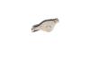 Коромисло клапана Audi A3/VW Caddy IV/Golf VI/Touran 1.2-1.4TSI 12- (OE VAG) Borsehung B18832 (фото 3)