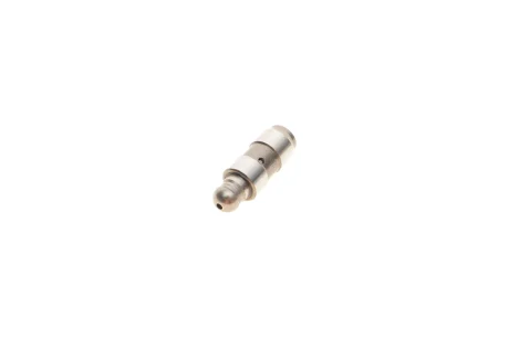 Гідрокомпенсатор VW Caddy III 1.6 BiFuel 04-/VW T5/T6 2.0TSI 11- (OE VAG) Borsehung B18825