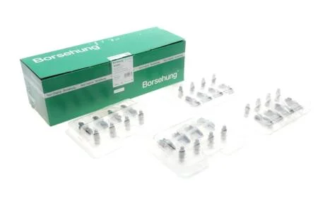 Коромисло клапана + гідрокомпенсатор VW Passat 1.4 TSI/1.6 FSi 10-14 (к-кт 16шт) (OE VAG) Borsehung B18205