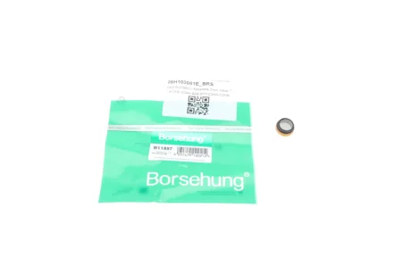 Фільтр оливоприймача VW T5/T6 2.0 TSi 10-19 (OE VAG) Borsehung B11897