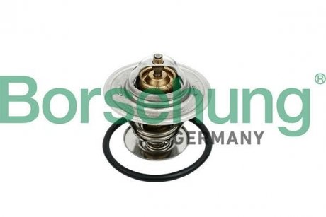 Термостат VW Caddy/Passat/Audi A3 1.9/2.0TDI 04-10 (87°C) (OE VAG) Borsehung B18259 (фото 1)