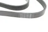 Ремень генератора Citroen Berlingo/Peugeot Partner 1.6VTi 09- (6PK905) BOSCH 1 987 945 747 (фото 3)
