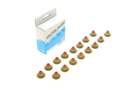 Сальники клапанів комплект VICTOR REINZ 12-11648-01