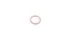 Кільце ущільнююче (O-ring) MAGNETI MARELLI 007950024400 (фото 3)