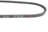 Ремінь генератора Ford Transit 2.0 85-92/Sierra 1.8-2.0 82-93 (11.9x885) HUTCHINSON AV 11.9 LA 885 (фото 3)