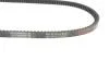 Ремінь генератора Ford Sierra 1.3/1.6/2.0 82-86 (11.9x876) HUTCHINSON AV 11.9 LA 876 (фото 2)