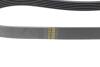 Ремінь генератора Fiat Punto/Stilo 1.9 JTD 99-06 (6PK813) HUTCHINSON 813 K 6 (фото 3)