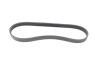 Ремінь генератора Fiat Punto/Stilo 1.9 JTD 99-06 (6PK813) HUTCHINSON 813 K 6 (фото 5)