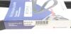 Ремінь генератора Fiat Punto/Stilo 1.9 JTD 99-06 (6PK813) HUTCHINSON 813 K 6 (фото 6)