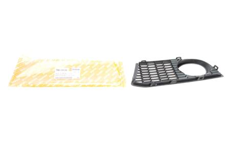 Вставка бампера (под противотуманку) BMW 5 (F10/F11) 09-13 (M-Technic) (R) AUTOTECHTEILE 703 5132