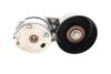 Натяжник ременя генератора Land Rover Discovery/Range Rover 2.7D 04-18 INA 534 0681 10 (фото 4)
