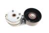 Натяжник ременя генератора Land Rover Discovery/Range Rover 2.7D 04-18 INA 534 0681 10 (фото 7)