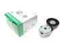 Натяжник ременя генератора Land Rover Discovery/Range Rover 2.7/3.0 04- INA 534 0668 10 (фото 1)