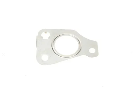Прокладка турбіни Fiat Doblo 1.3D 07- (трубка на злив масла) ELRING 007.300