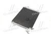 Конденсатор кондиціонера VW TIGUAN (5N) 07- TEMPEST TP.15940138 (фото 2)