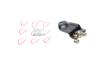 Ролик двери (боковой/верхний) Ford Transit Custom 2.0/2.2 TDCi 12-(R) ROTWEISS BK21V25028AD (фото 1)