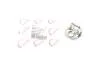 Петля дверей (передніх) Renault Laguna II/Megane II 01-08 ROTWEISS 8200765143 (фото 1)