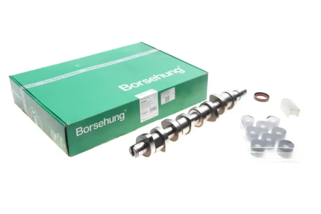 Распределительный вал VW 1.9TDI 03-(к-кт) (OE VAG) Borsehung B18664