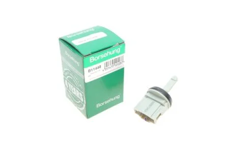 Датчик температури повітря VW Caddy III/T5 03-10 Borsehung B11448