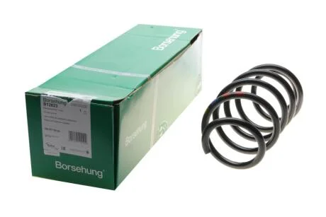 Пружина (передня) VW Caddy 04-/Passat 05-14 (OE VAG) Borsehung B12623