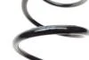 Пружина (передняя) Dacia Duster 1.5dCi/1.5dCi 4x4 10-18/Renault Duster 1.5dCi 4x4 11- SOLGY 212071 (фото 4)