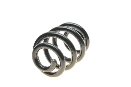 Пружина підвіски SOLGY 212054